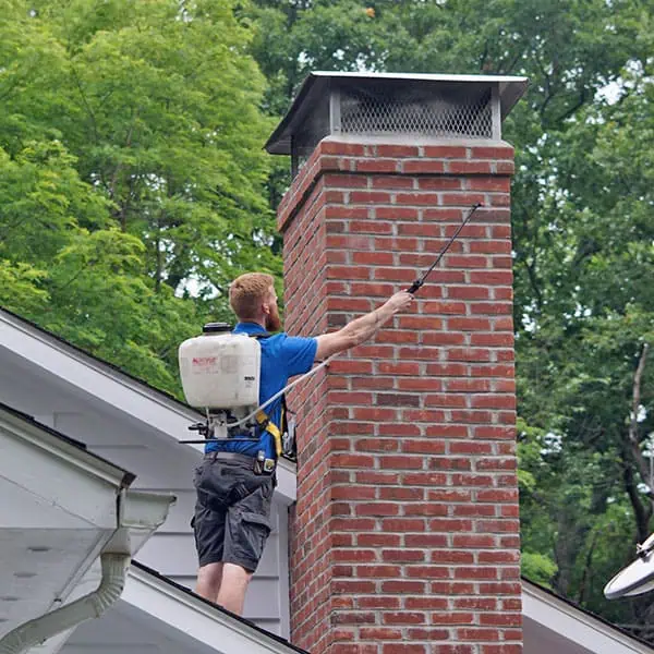 A man wearing a harness and backpack sprayer stands on a roof, cleaning or inspecting a red brick chimney with a long tool—likely performing chimney repair Norfolk and Plymouth County, MA. Trees are visible in the background.