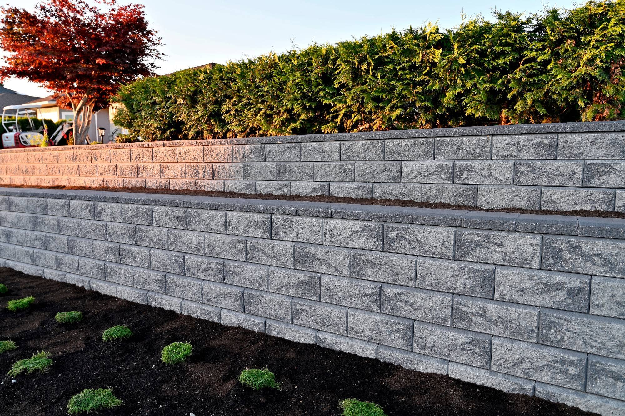 A tiered retaining wall made of gray concrete blocks, with green shrubs and a red-leaved tree on top, and small green plants growing in dark soil at the base.