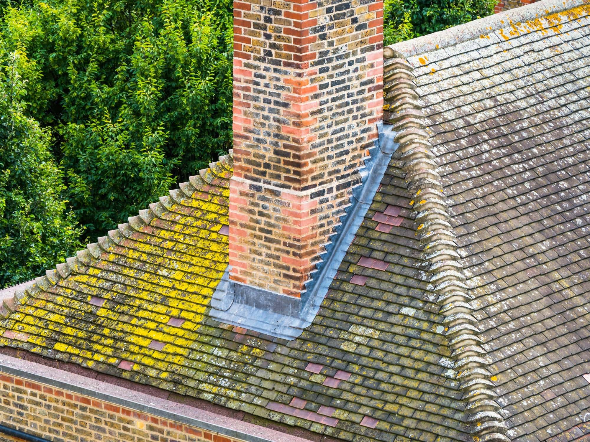 A brick chimney rises from a sloped, tiled roof covered with patches of yellow and green moss, next to a background of dense green trees.