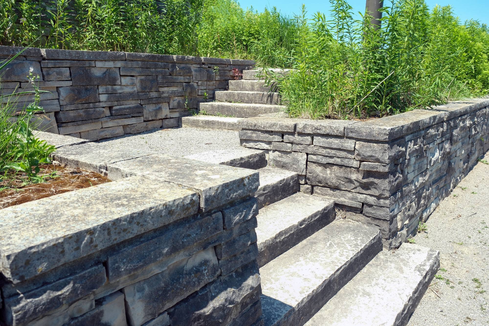 Concrete steps with stone walls on both sides lead up through a landscaped area with green plants and tall grass growing alongside the path. The scene is brightly lit by sunlight.