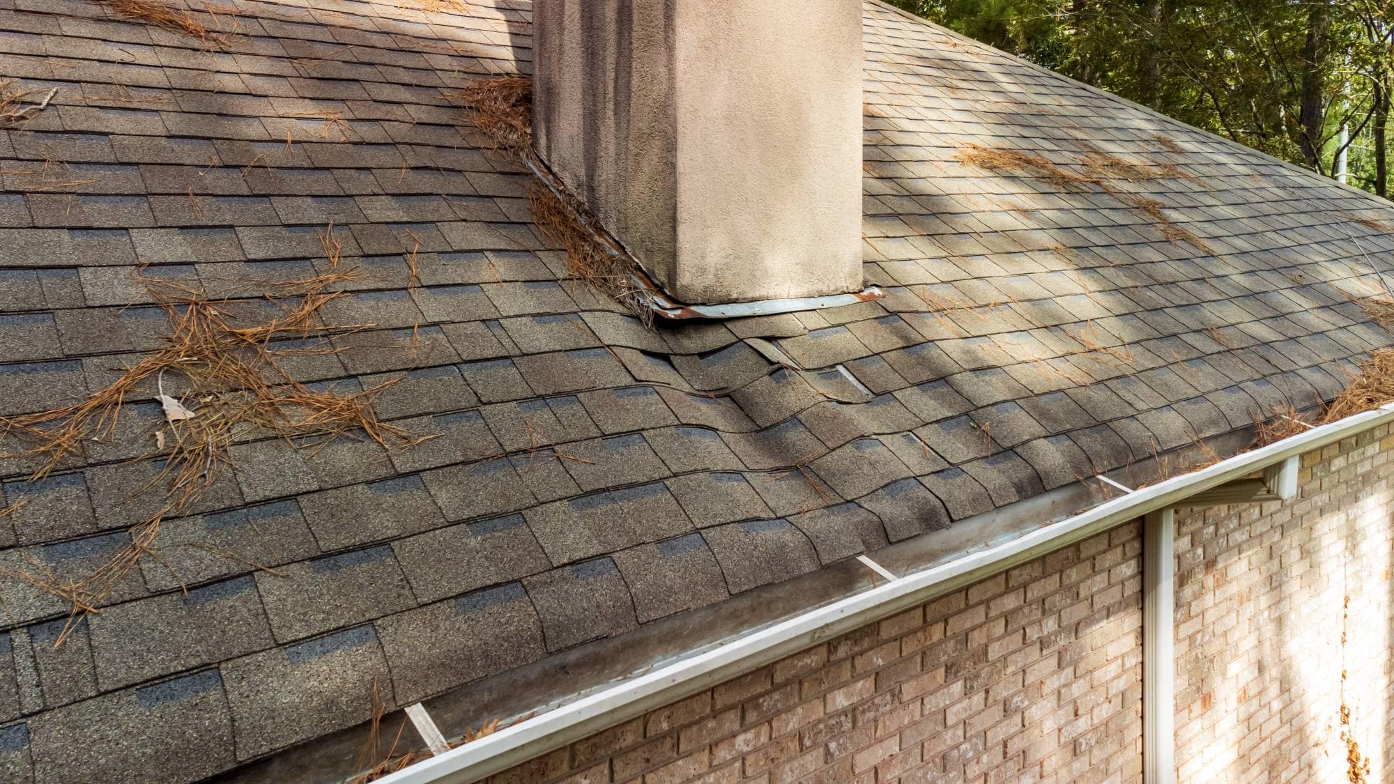 A house roof with gray shingles showing signs of damage and warping near a chimney, with pine needles scattered across the surface and some debris in the gutter.